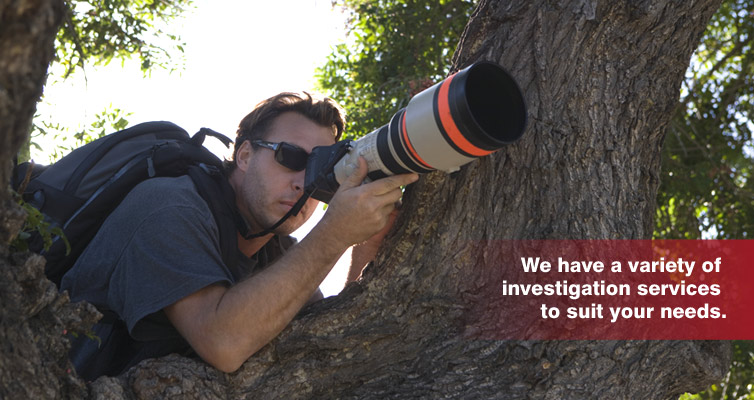 Investigator in a tree with zoom lens camera.